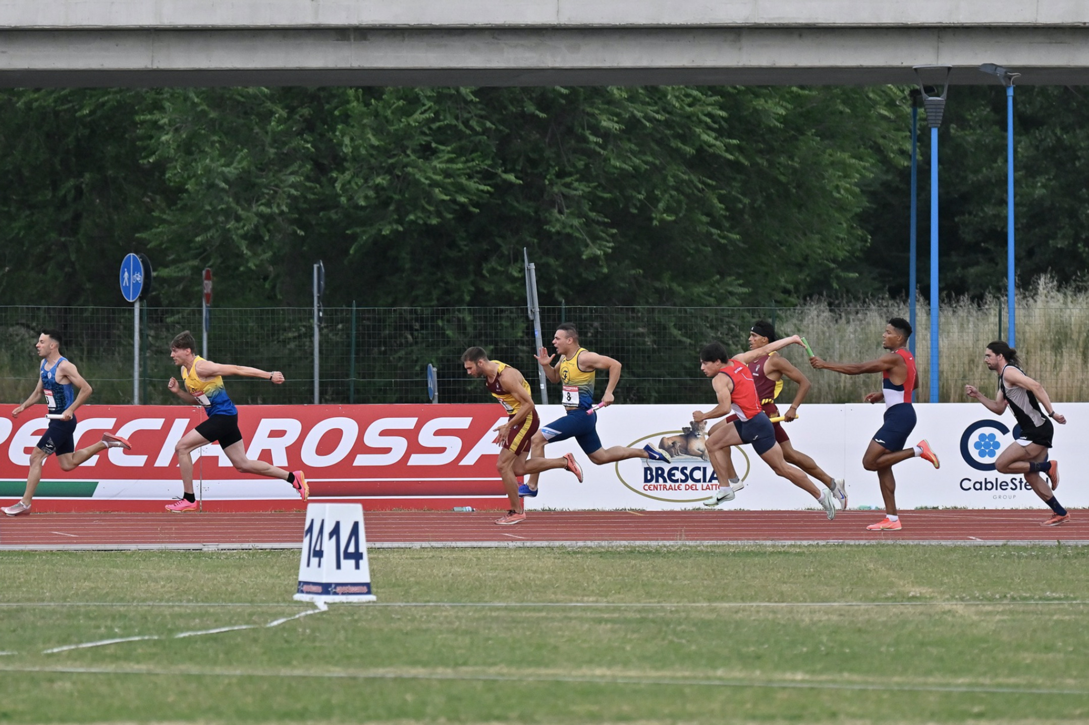 Cablesteel Partner di Atletica Brescia 1950
